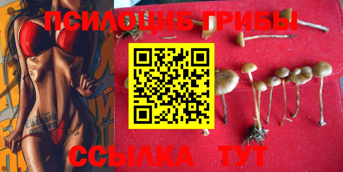 Галлюциногенные грибы ЛСД Орск