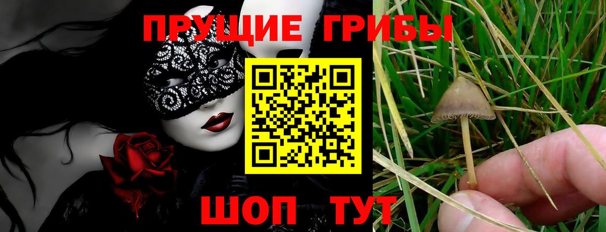 Галлюциногенные грибы ЛСД  Вход с VPN  Орск 